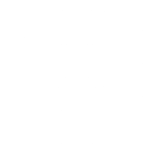 bespoke database development service